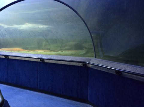 Deep Sea World-北昆斯费里必去景点