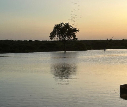 Royal Safaris-库马堤港必去景点