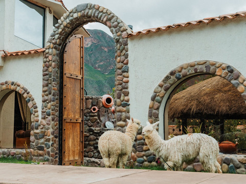 Pachay Valle Sagrado