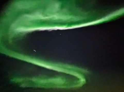 Blue Puffin - Tromso Experiences-特罗姆瑟必去景点