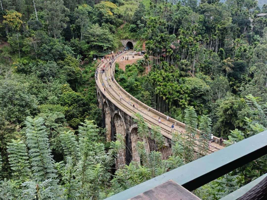 Luster Blue Tours-加勒必去景点