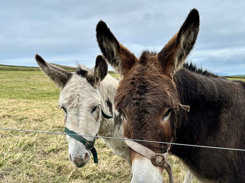 Kerry Cliffs-Doora Cross必去景点