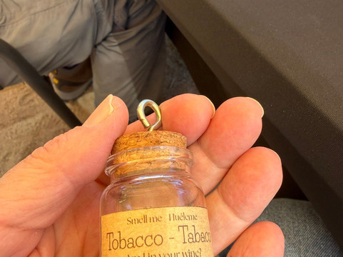 Viña Ballek-Isla de Maipo必去景点