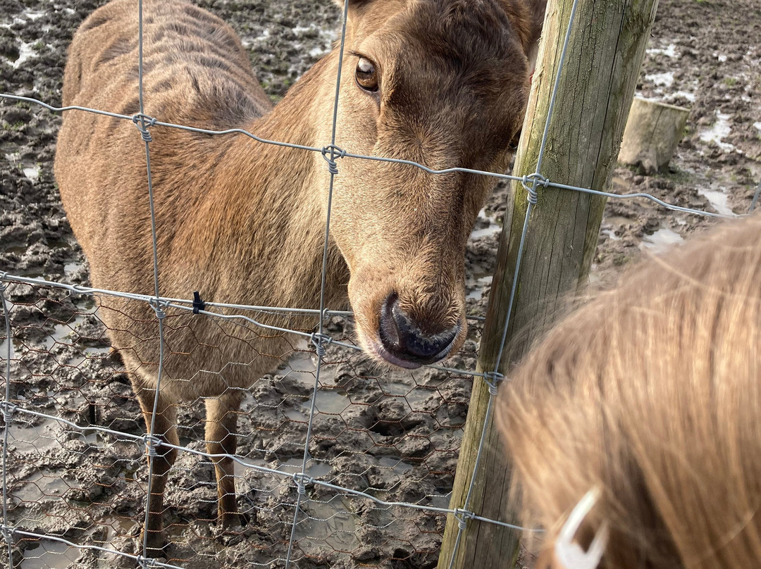 Apple Cast Farm-Newburgh必去景点