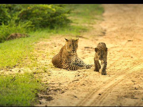 Natara Lanka Tours-Kandana必去景点