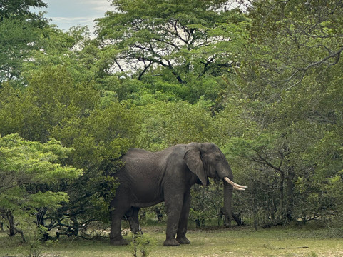 African Queen Dhow-Kendwa必去景点