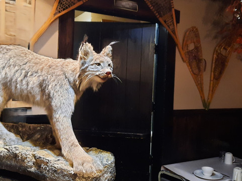 Erabliere du Lac-Beauport-Lac-Beauport必去景点