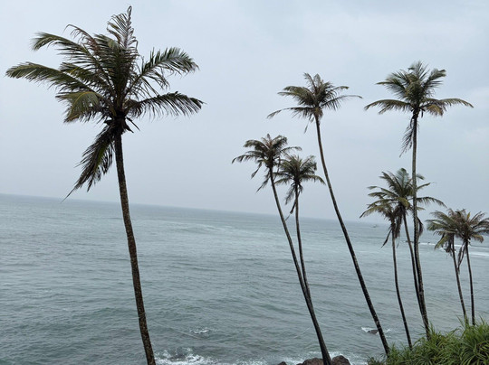 One & Only Travels-Kurunegala必去景点