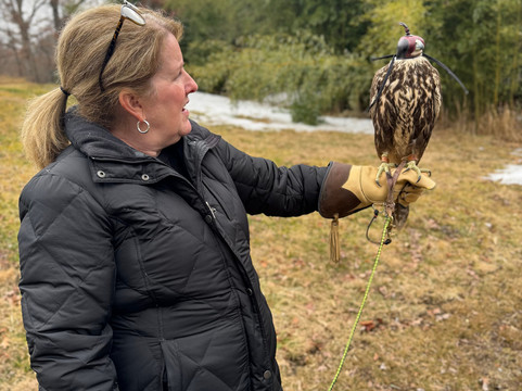 The Greenbrier Falconry-White Sulphur Springs必去景点