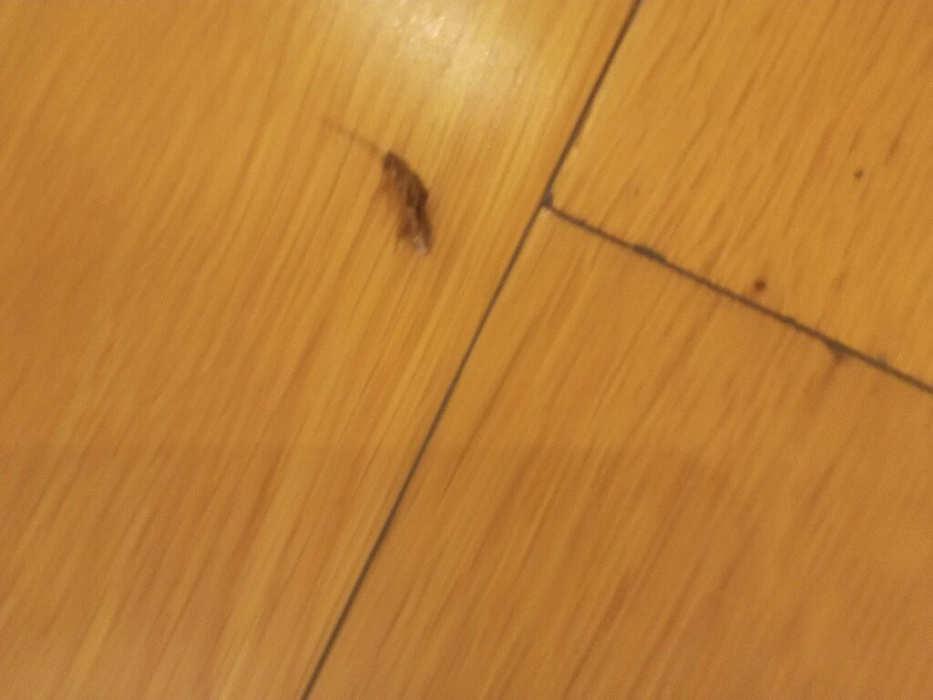 三叉戟海得拉巴酒店主图