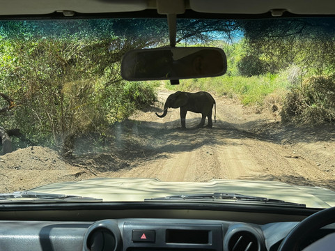 Still Waters Safaris Tanzania