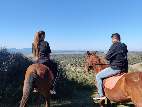 Golden Sand-夫罗勒必去景点