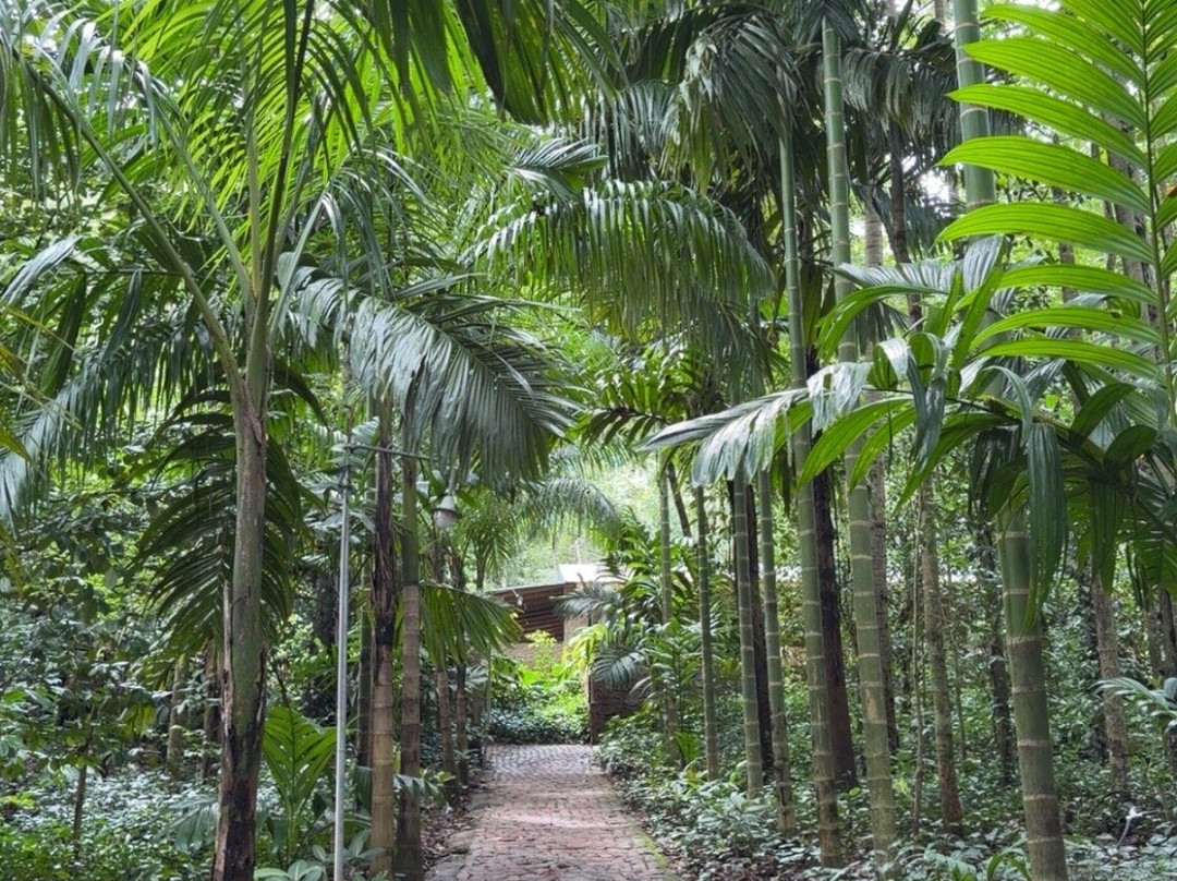 Royal Ceylon Voyage-Pelawatta必去景点