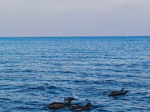 Himmafushi Scuba Adventure-Himmafushi Island必去景点