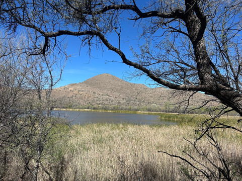 Patagonia Lake State Park-Patagonia必去景点