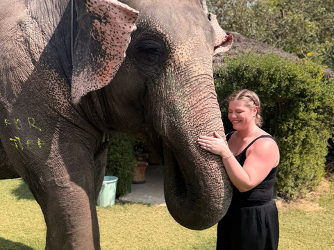 EleSafari-Amer必去景点