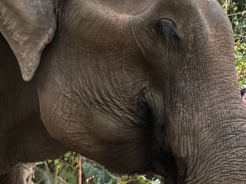 Chang Chill-Mae Win必去景点