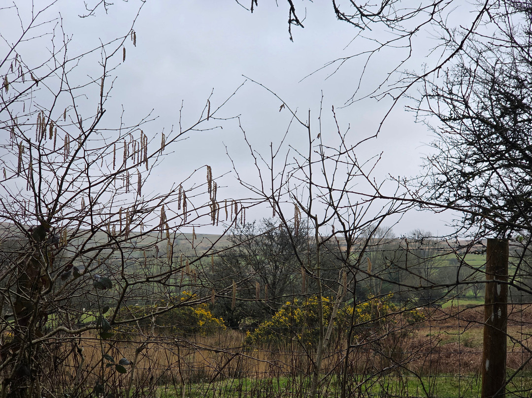 贝尔斯拉克旅馆主图