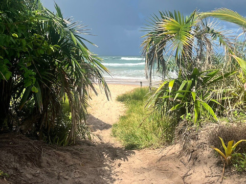 Algodoes Beach-Barra Grande必去景点