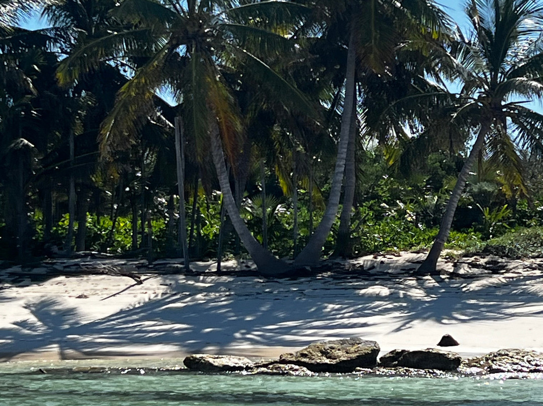 Fishbone Tours-伊柳塞拉必去景点