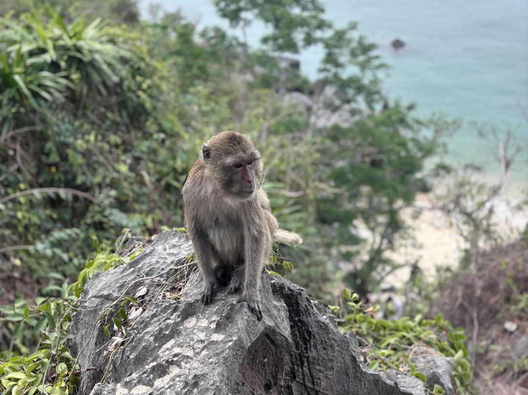 Cat Ba Green Trail Travel-Cat Ba Town必去景点