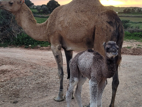 Morocco Trekking-马拉喀什必去景点