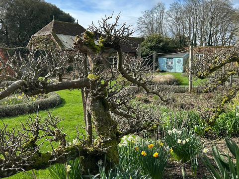 Hinton Ampner House and Garden-Hinton Ampner必去景点