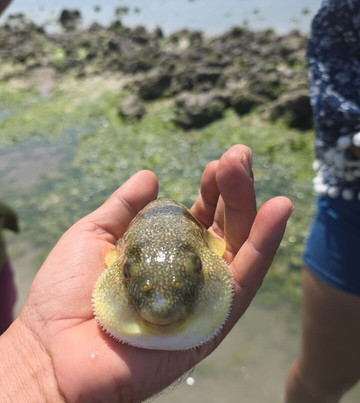 Narara Marine National Park-Devbhumi Dwarka District必去景点