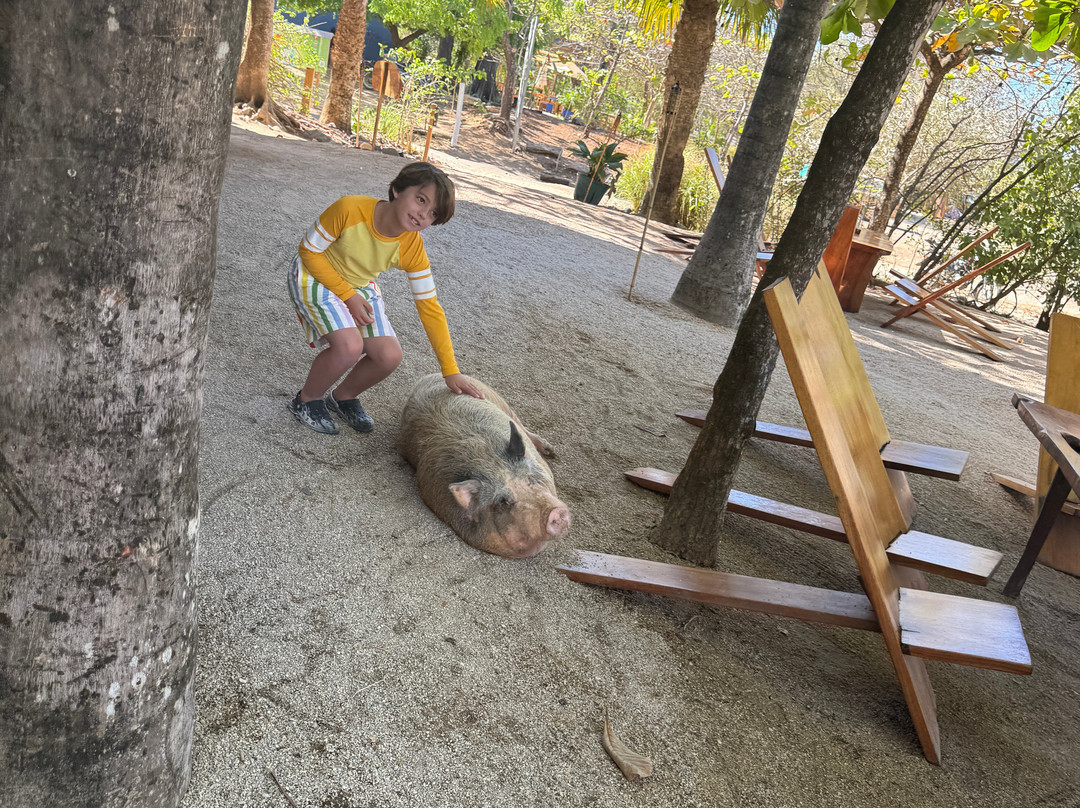 Avellanas Surf School-Playa Avellanas必去景点