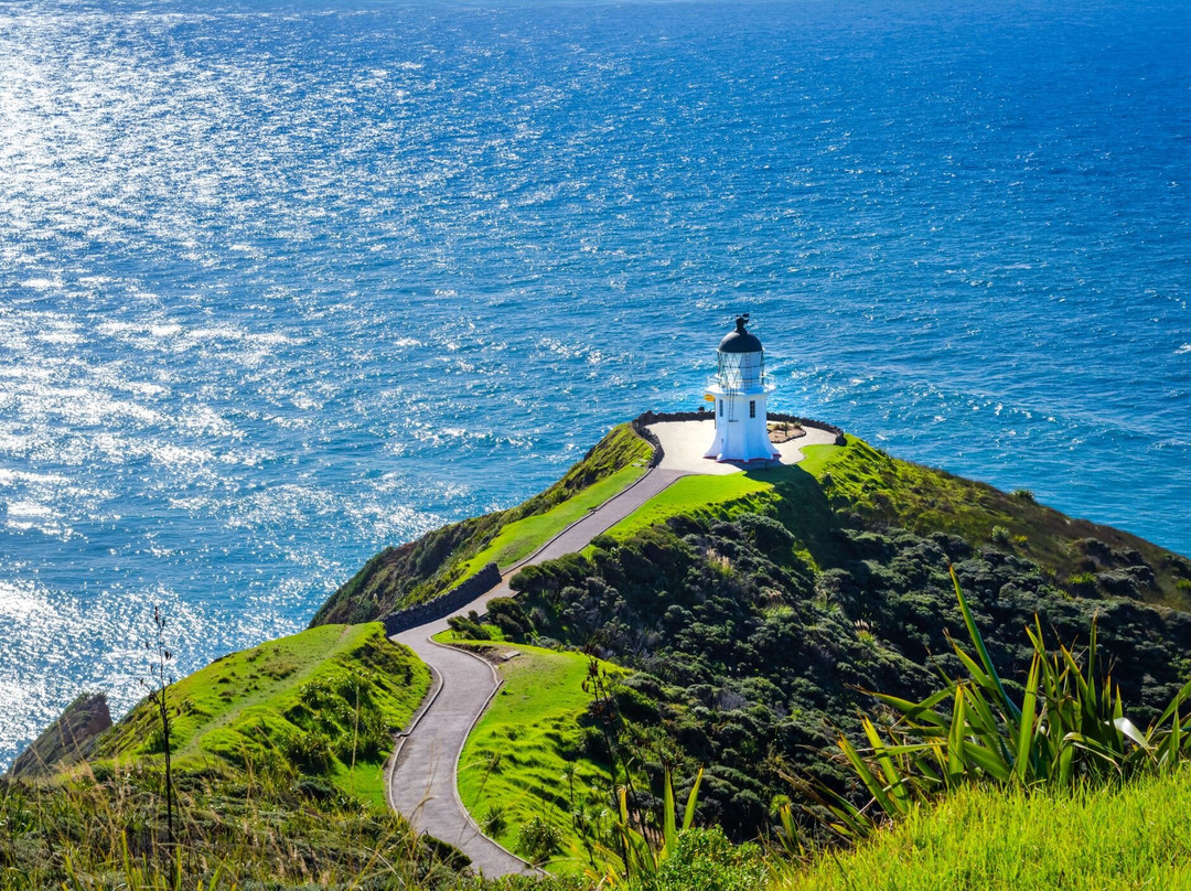 Mullarkey Tours-Kerikeri必去景点