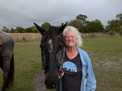 Wagon Wheel Horse Farm-奥基乔比必去景点