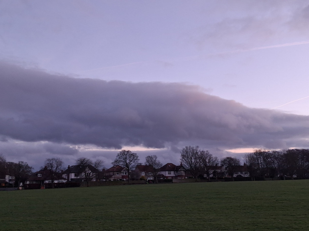 The Stray-哈罗盖特必去景点