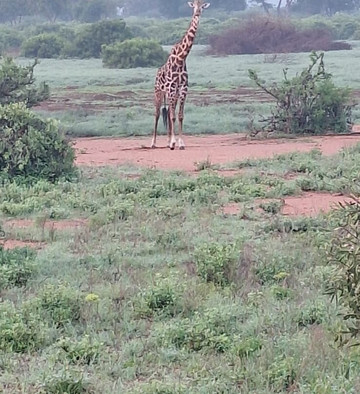 Discovery Kenya con Fragola-瓦塔木必去景点