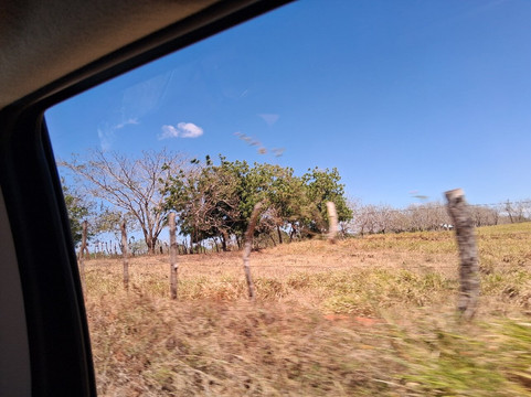 Sarigua National Park-契特雷必去景点