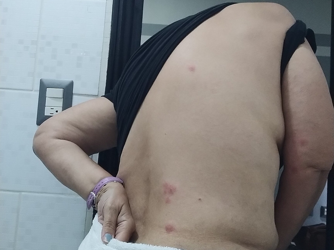 哥斯达黎加米兰酒店主图