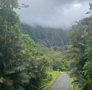 火玛卢霞植物园-卡内奥赫必去景点