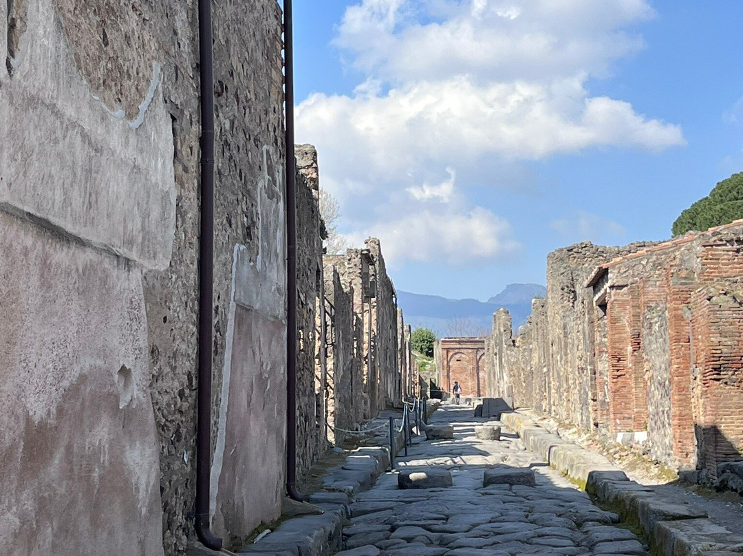 Campania Guide - Private Day Tours-那不勒斯必去景点