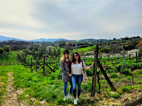 Tuscan Private Driver-科尔托纳必去景点