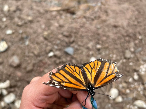Vive Trekking México-Cuetzalan del Progreso必去景点