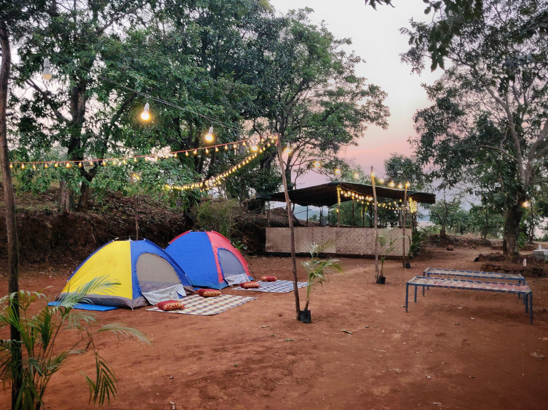 Vibe Tribe Camping