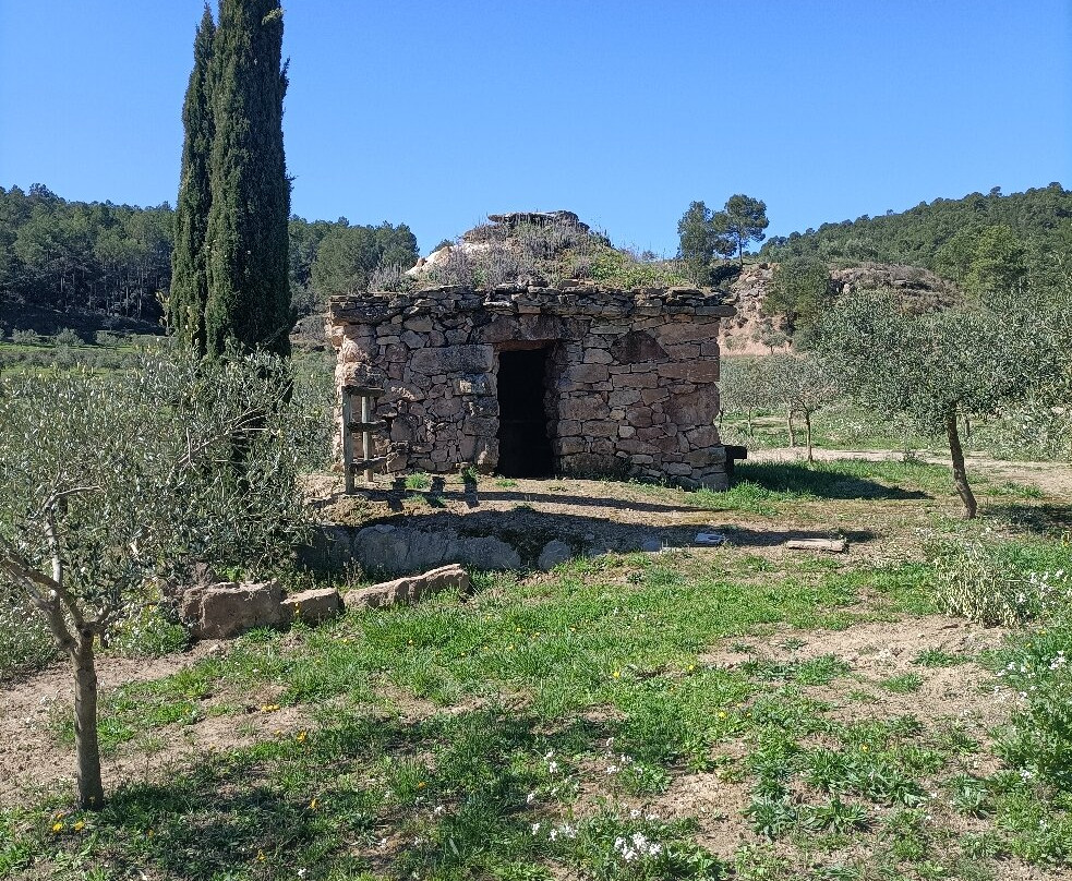 Oli Migjorn-Sant Salvador de Torroella必去景点