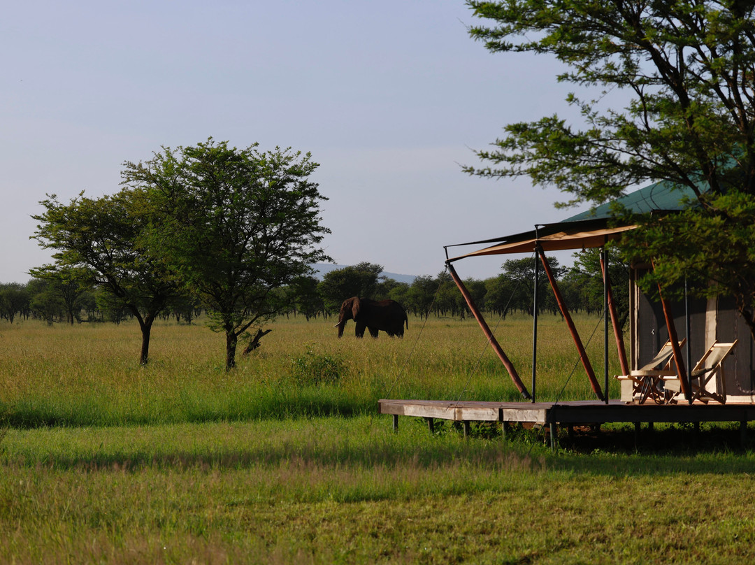 Serengeti Queens Camp-Seronera必去景点