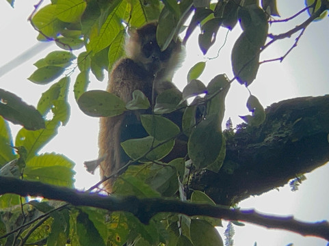 Allan Explorer-Upala必去景点