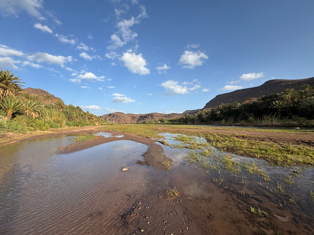 Dades Aventures - Day Tours-瓦尔扎扎特必去景点