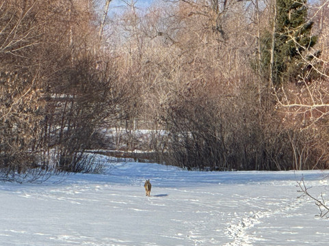 科布尔斯通酒店及套房 - 阿什兰主图