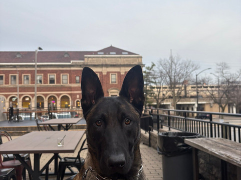 Pour Bros. Taproom-尚贝恩必去景点