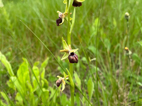 Parco Archeologico Manduria-Manduria必去景点