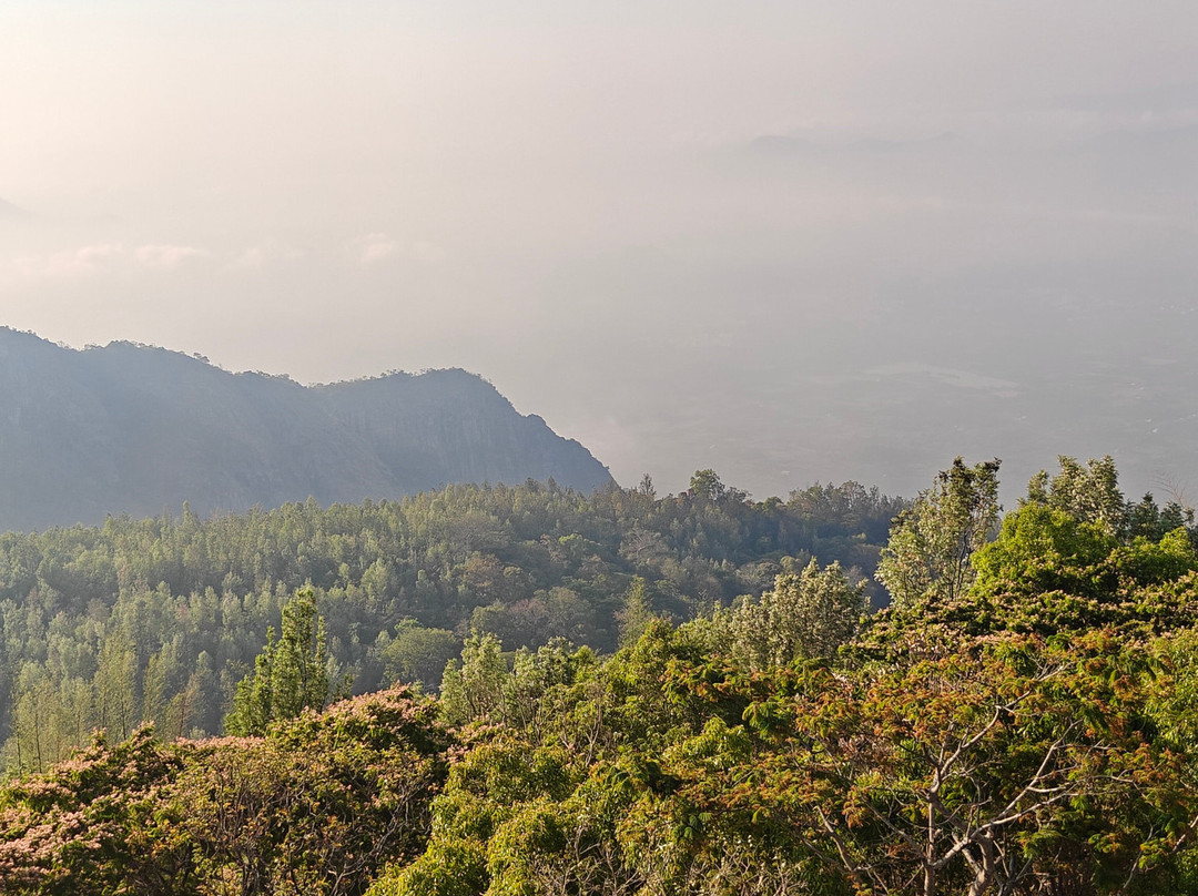 雅靠芒果山酒店主图