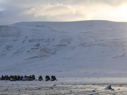 Poli Arctici-朗伊尔城必去景点