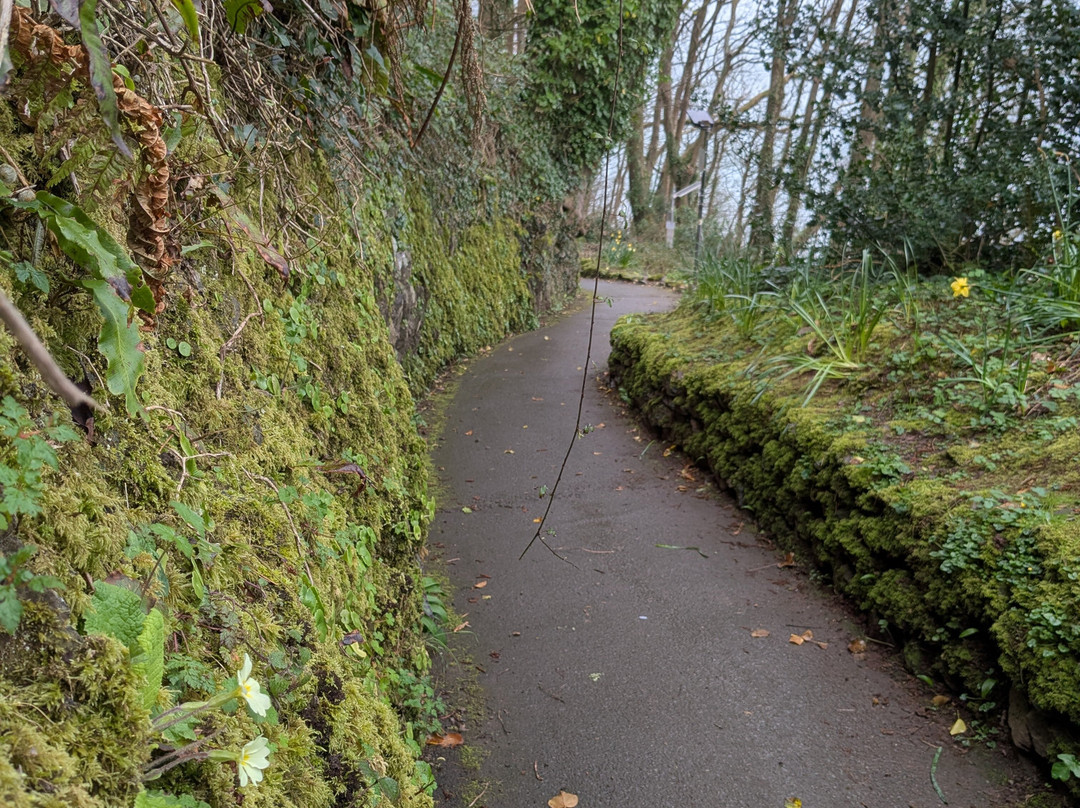 Valley of Rocks Walk-South West Coast Path-林顿必去景点
